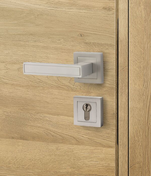 Aper?u Poignée Hugo pour bloc-porte