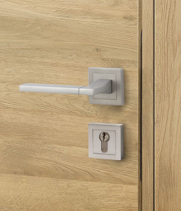 Aper?u Poignée Liam pour bloc-porte